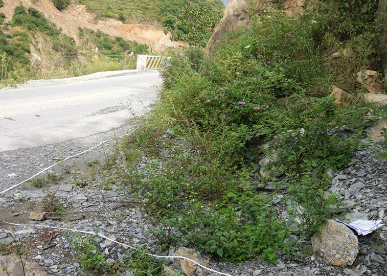 ԣʡȻo(h)^(q)B(ti)ӰĿ